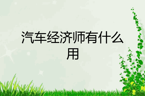汽车经济师有什么用