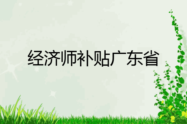 经济师补贴广东省