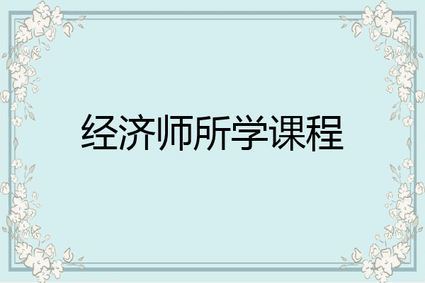 经济师所学课程