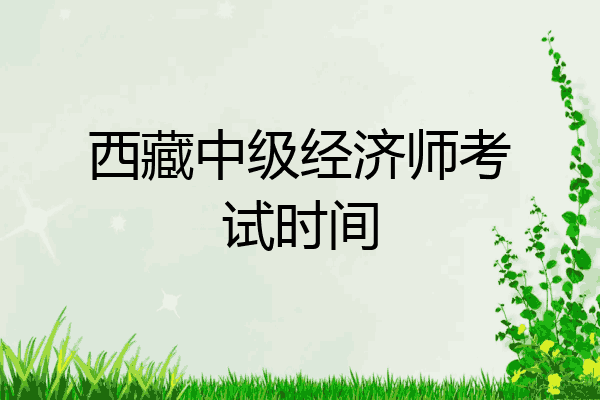 西藏中级经济师考试时间