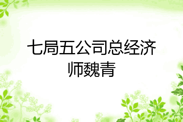 七局五公司总经济师魏青