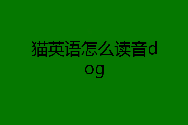 猫英语怎么读音dog