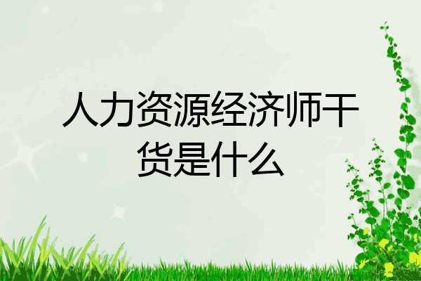 人力资源经济师干货是什么