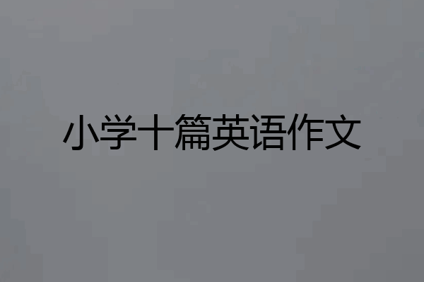 小学十篇英语作文