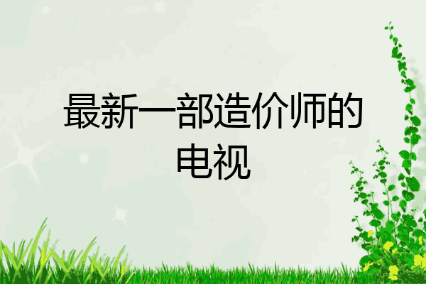 最新一部造价师的电视