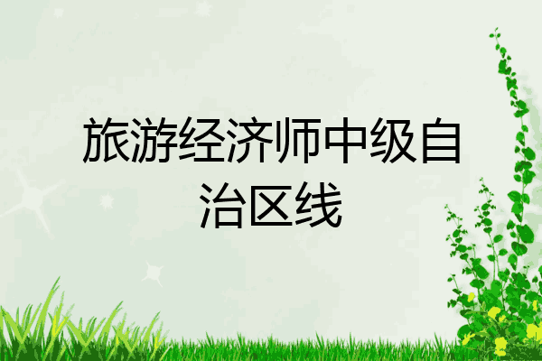 旅游经济师中级自治区线