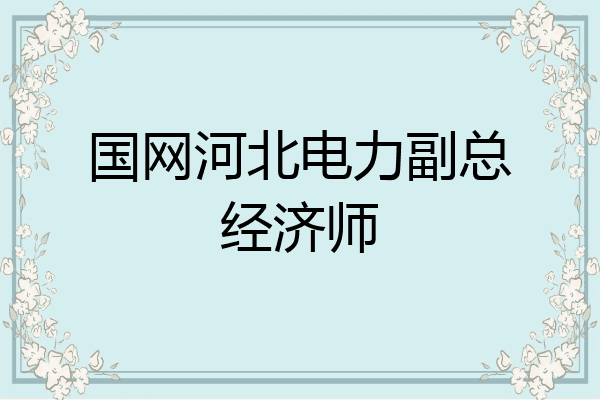 国网河北电力副总经济师