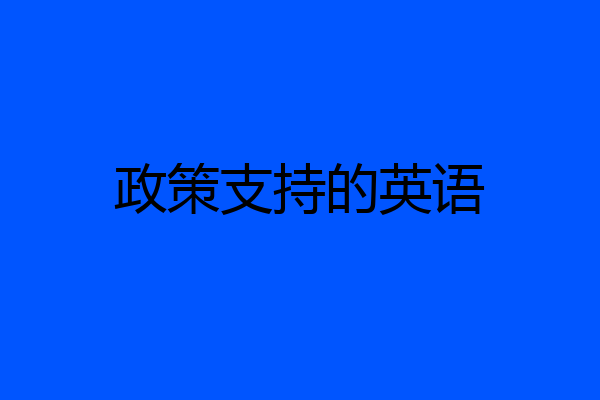 政策支持的英语