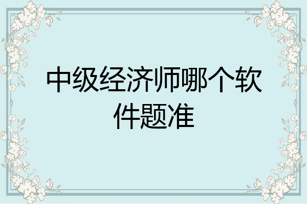 中级经济师哪个软件题准