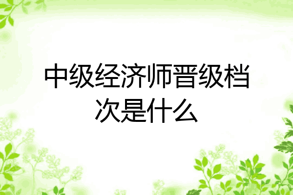 中级经济师晋级档次是什么