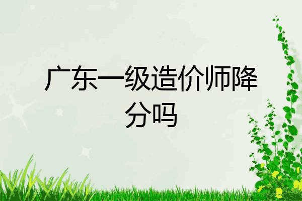 广东一级造价师降分吗