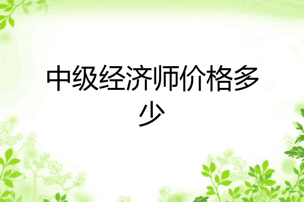中级经济师价格多少
