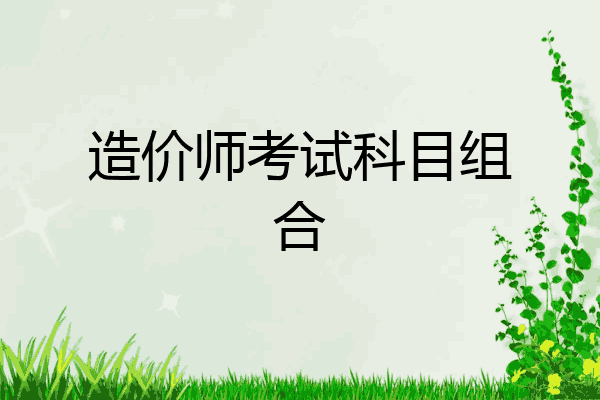 造价师考试科目组合