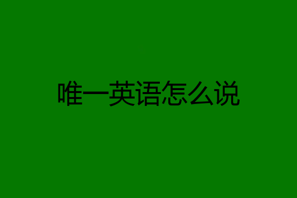 唯一英语怎么说