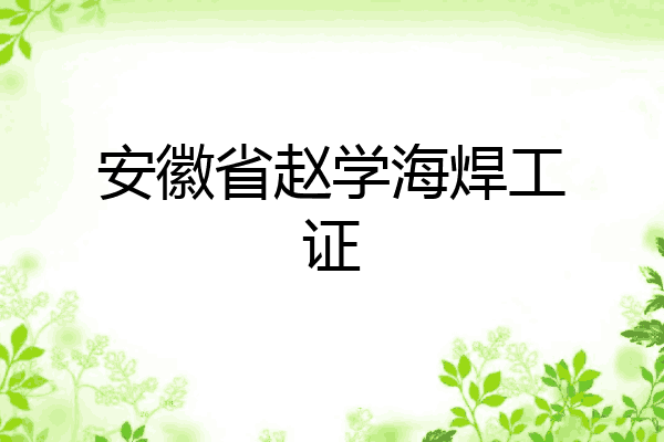 安徽省赵学海焊工证