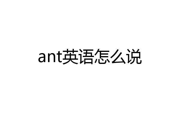 ant英语怎么说