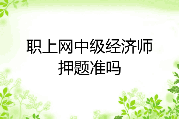 职上网中级经济师押题准吗