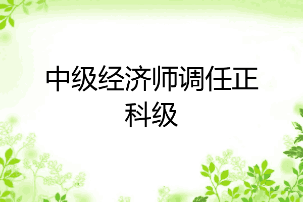 中级经济师调任正科级