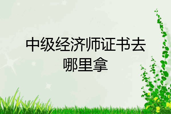 中级经济师证书去哪里拿