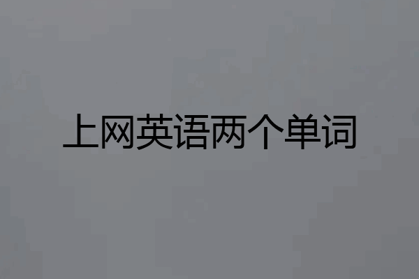 上网英语两个单词