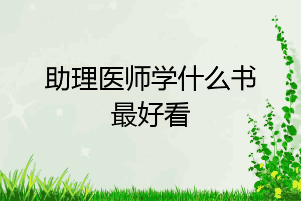 助理医师学什么书最好看