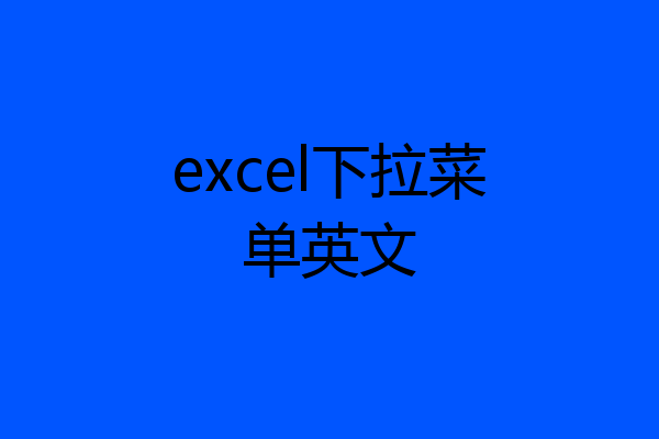 excel下拉菜单英文