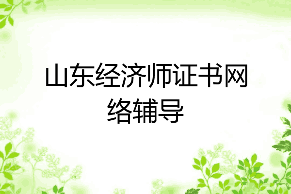山东经济师证书网络辅导