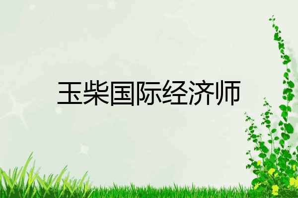 玉柴国际经济师