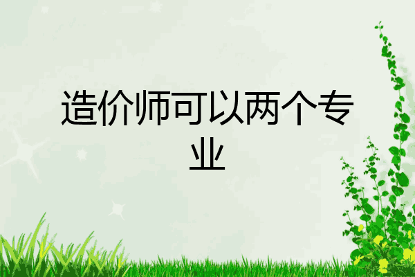 造价师可以两个专业