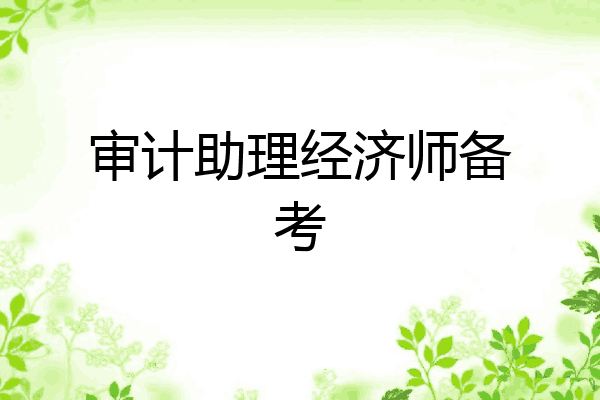 审计助理经济师备考