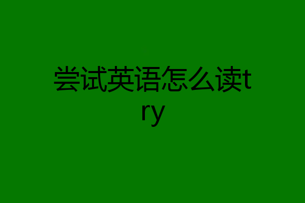 尝试英语怎么读try