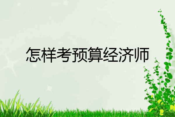 怎样考预算经济师