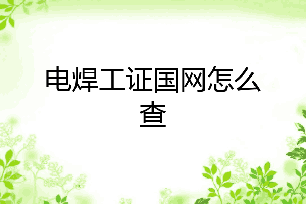 电焊工证国网怎么查
