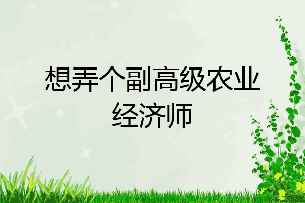 想弄个副高级农业经济师