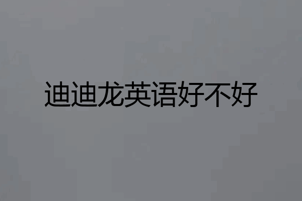 迪迪龙英语好不好