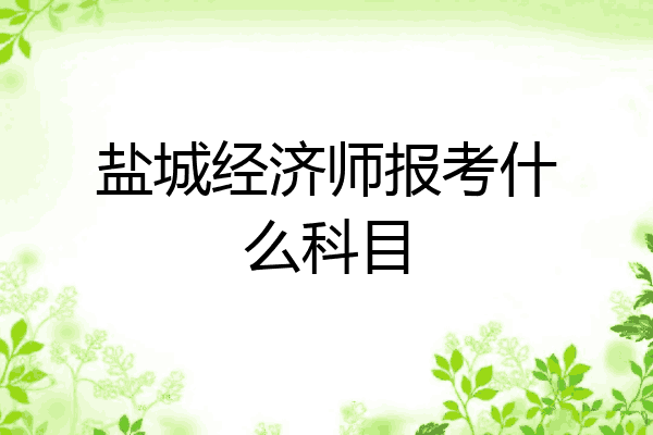 盐城经济师报考什么科目