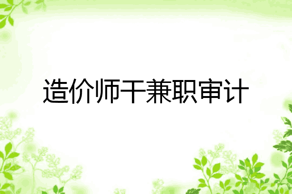 造价师干兼职审计