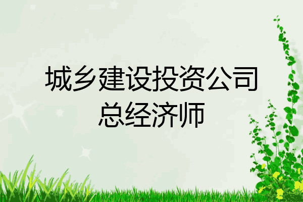 城乡建设投资公司总经济师