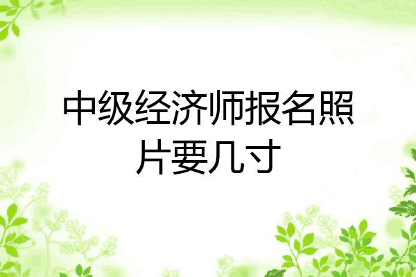 中级经济师报名照片要几寸