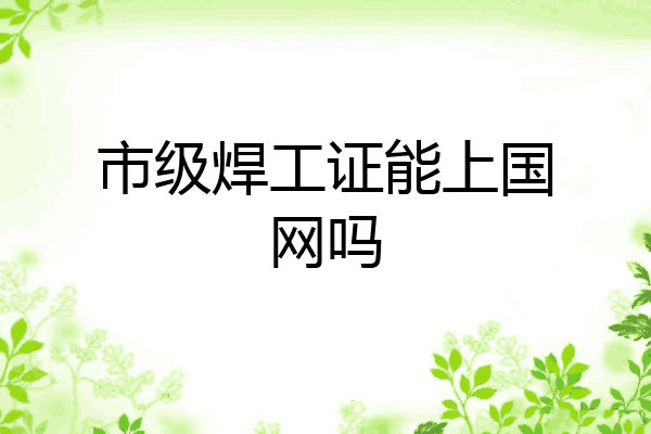 市级焊工证能上国网吗
