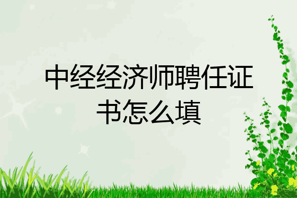 中经经济师聘任证书怎么填