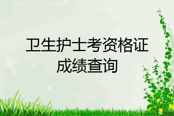 卫生护士考资格证成绩查询