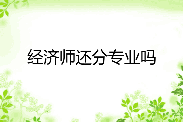 经济师还分专业吗