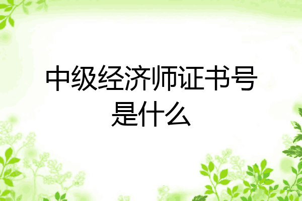 中级经济师证书号是什么