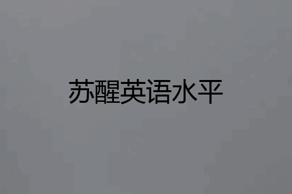 苏醒英语水平