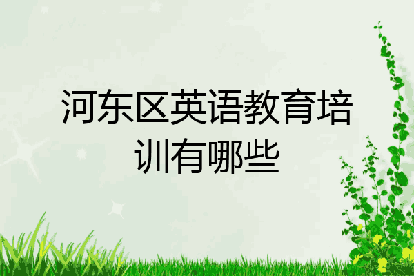 河东区英语教育培训有哪些