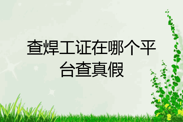 查焊工证在哪个平台查真假
