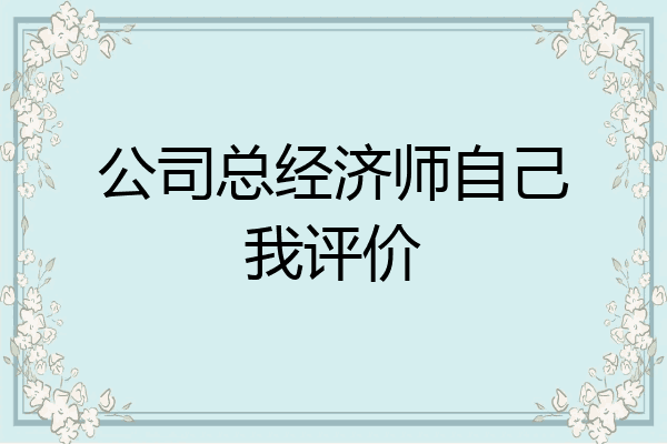 公司总经济师自己我评价