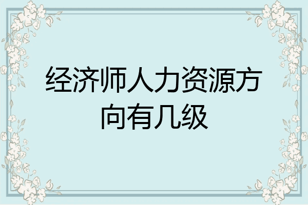 经济师人力资源方向有几级