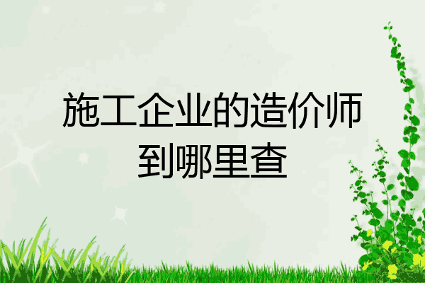 施工企业的造价师到哪里查